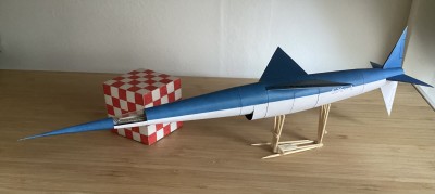 IMG_1574.jpeg