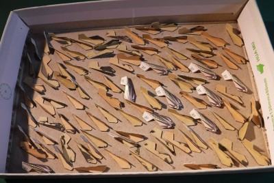 … bien que les pièces soient pré-perforées, elles doivent être découpées au cutter.<br />Sans cela, certains éléments graphiques seraient endommagés. Toutes les pièces ont été découpées, pliées et les bords ont été colorés…