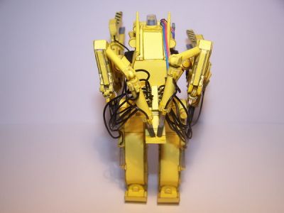 Caterpillar_093_redimensionner.jpg