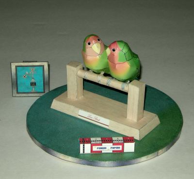 love-birds
