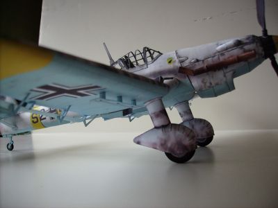 IMGP3379.JPG