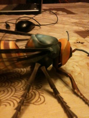 IMG_0523.JPG