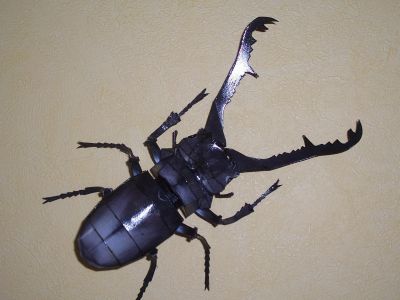 gira kuwa
