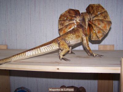 Dinosaure
Fait par mon fils Jack (9 ans).
Maquette de MB crÃ©ation
