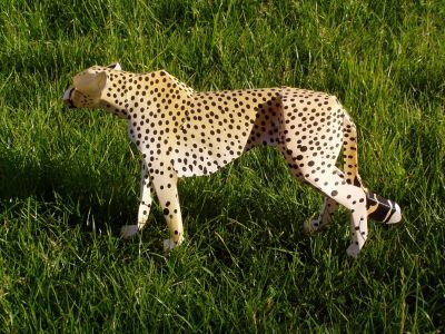 Guepard (letÃ©ral)
