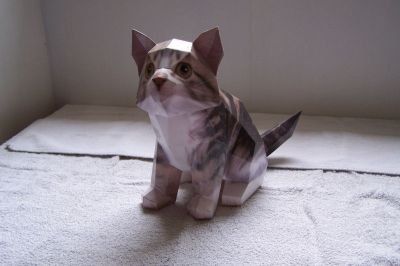 chat
voici un chat de la collection MBpaperart

