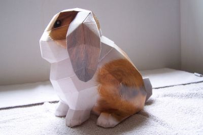 lapin
