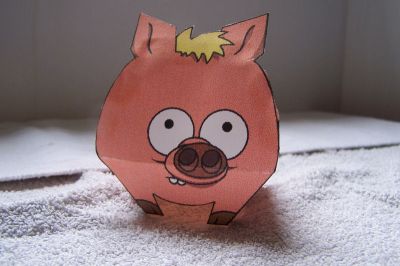 spider cochon
