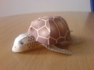 Tortue
ma toute premiÃ¨re crÃ©ation... avec les encouragements de mon amour!

