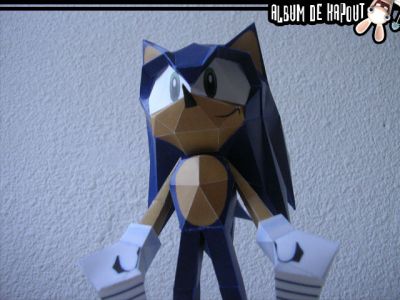 Sonic 3
Le herisson du jeu video

