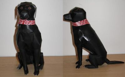 Keywords: chien labrador animaux