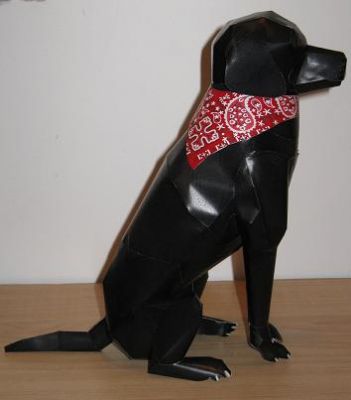 Keywords: chien labrador animaux