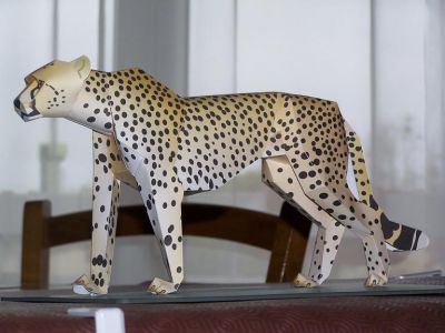 guÃ©pard
