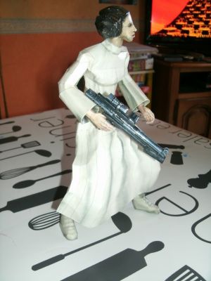 Princesse LeÃ¯a
http://noturnosukhoi.blogspot.com/
