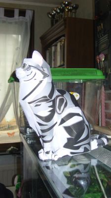 Un chat de chez Canon
