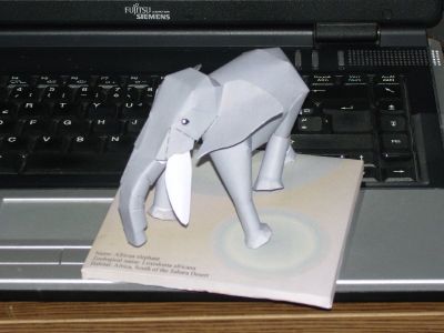 Un Elephant
Premier modÃ¨le animal
