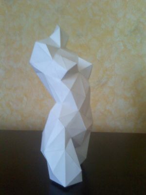 Une Venus
(Vue de droite)
