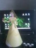 Filename=260812-1313.jpg
Filesize=299KiB
Dimensions=1200x1600
Date added=Aug 26, 2012 260812-1313.jpg