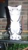 Filename=Chat002.JPG
Filesize=268KiB
Dimensions=1154x2048
Date added=Nov 13, 2010 Chat002.JPG