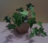 Filename=Plante02.jpg
Filesize=139KiB
Dimensions=1248x1128
Date added=Nov 14, 2011 Plante02.jpg