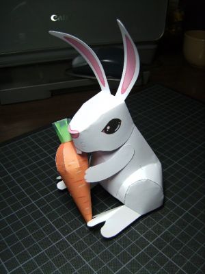 Lapin
