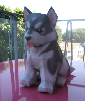 Alaskan Malamute
