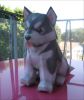 Filename=Alaskan_Malamute.png
Filesize=158KiB
Dimensions=279x330
Date added=Jun 30, 2009 Alaskan_Malamute.png