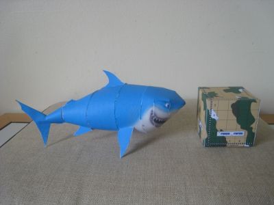 1er modÃ¨le - Bruce ( Nemo )
