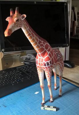 Girafe
