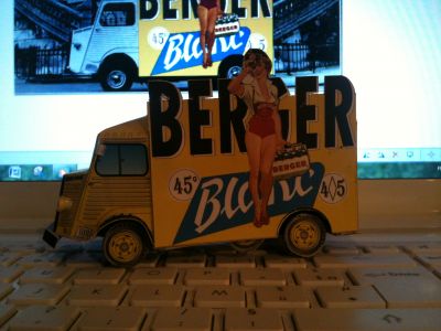 308 HY Berger avec Pin'up 3 de Camille
