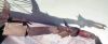 Filename=dragon-D.jpg
Filesize=66KiB
Dimensions=1402x587
Date added=Feb 17, 2015 dragon-D.jpg