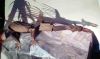 Filename=dragon.jpg
Filesize=42KiB
Dimensions=1102x654
Date added=Feb 17, 2015 dragon.jpg