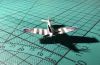 IMG_1919.jpeg